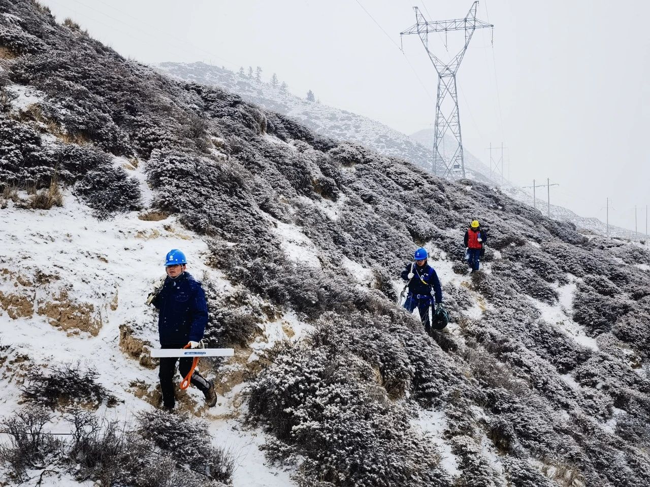 微信圖片_20250318101918.jpg 微信圖片_20250318101918.jpg